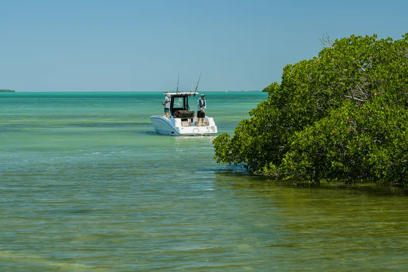 Slide: The Image of Yamaha 255 FSH Sport H 2025 - 50