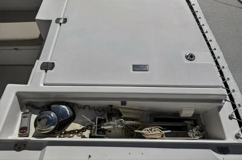 Slide: The Image of Leopard 45 2019 - 5887748