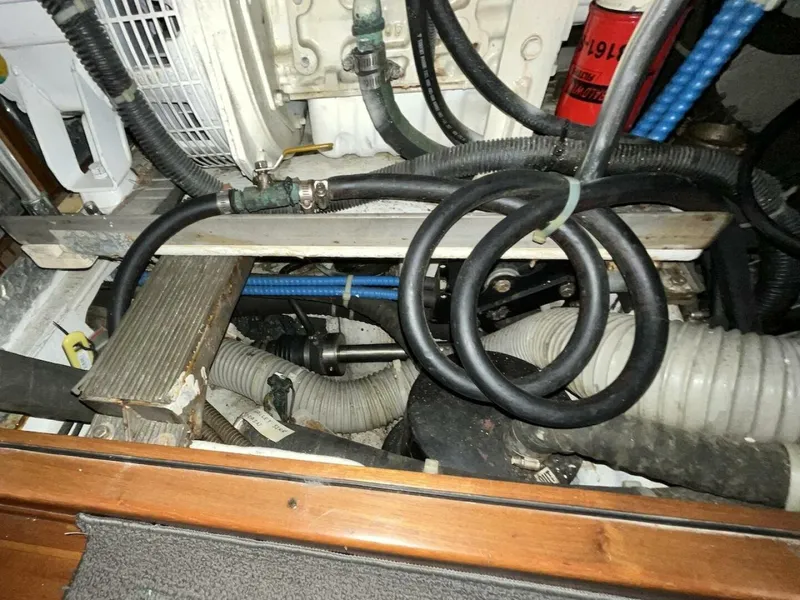 Slide: The Image of Hylas 49 2004 - 5863610