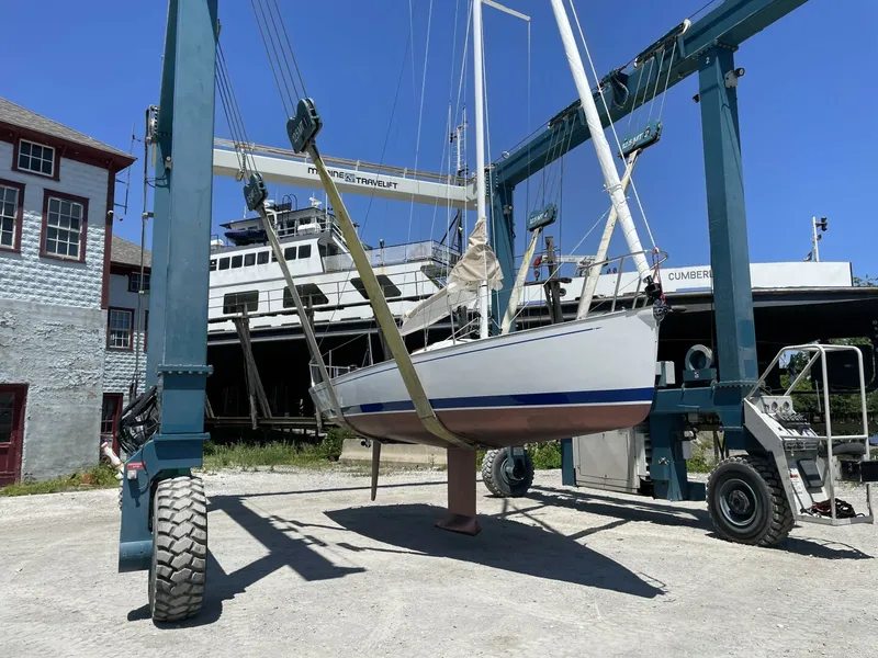 The Image of Tartan Frantail DS 2025 - 5863590