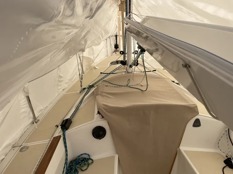 Slide: The Image of Tartan Frantail DS 2025 - 6047613