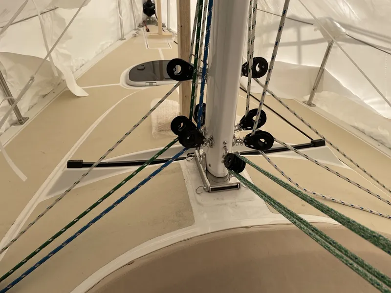 Slide: The Image of Tartan Frantail DS 2025 - 6047590