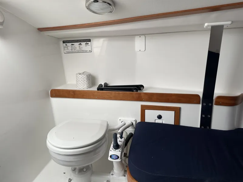 Slide: The Image of Tartan Frantail DS 2025 - 6047606