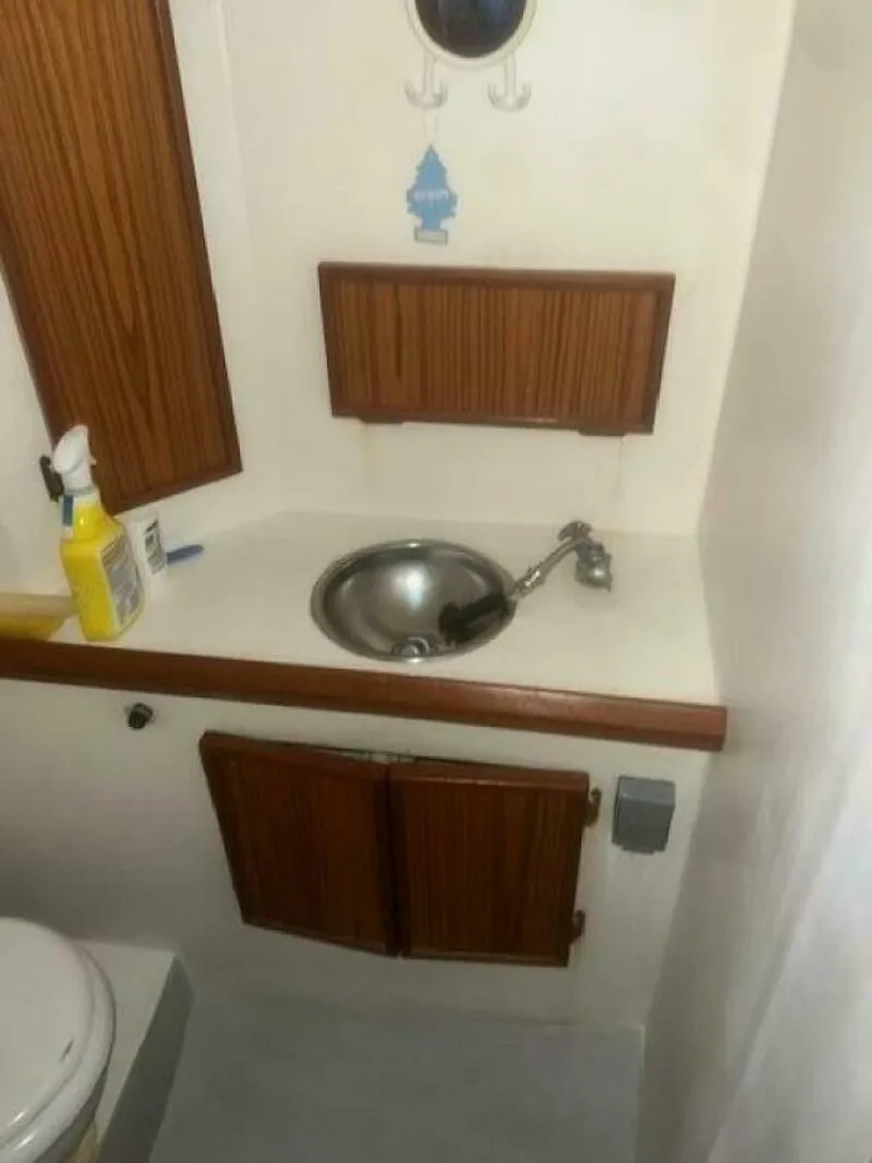 Slide: The Image of Head - 5864275