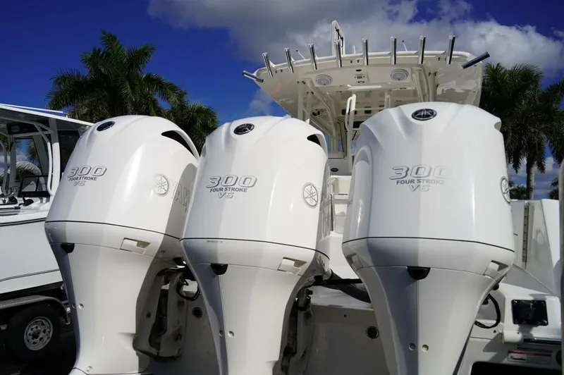 Slide: The Image of Everglades 355CCX 2017 - 5864631