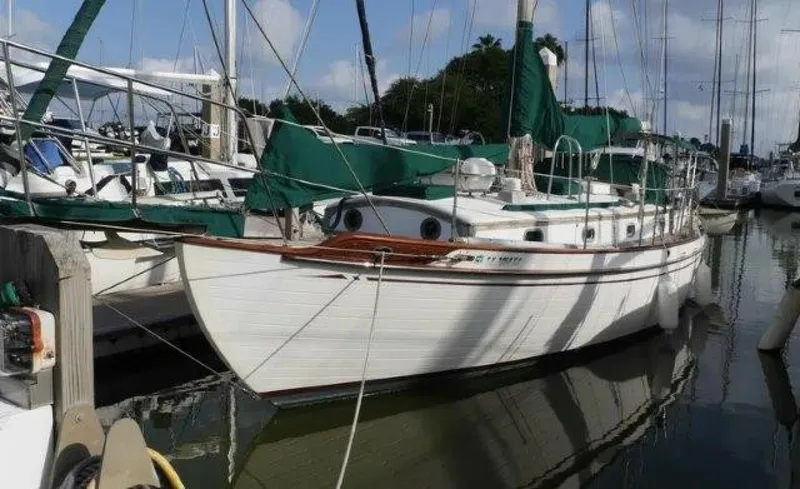 The Image of Tayana 37 1979 - 5864913