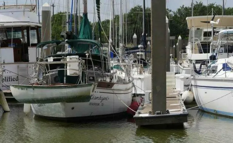 Slide: The Image of Tayana 37 1979 - 5864949