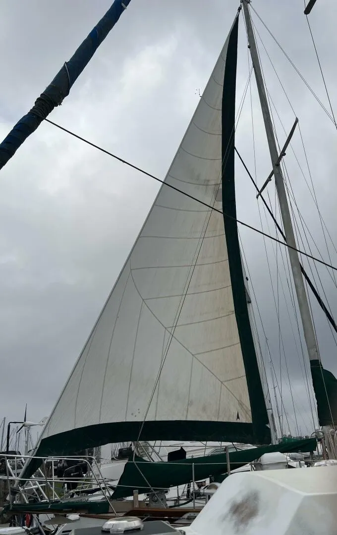 Slide: The Image of Tayana 37 1979 - 5954598