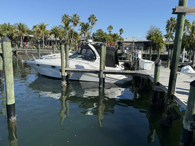 Slide: The Image of IMG_4659 - 5865211