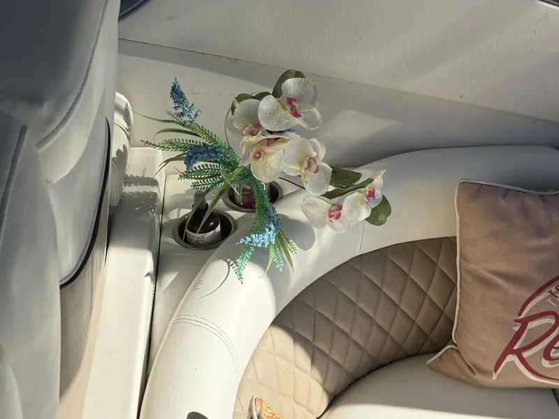 Slide: The Image of IMG_4631 - 5865200