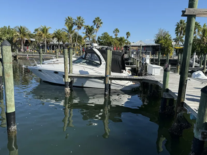 Slide: The Image of IMG_4660 - 5865212