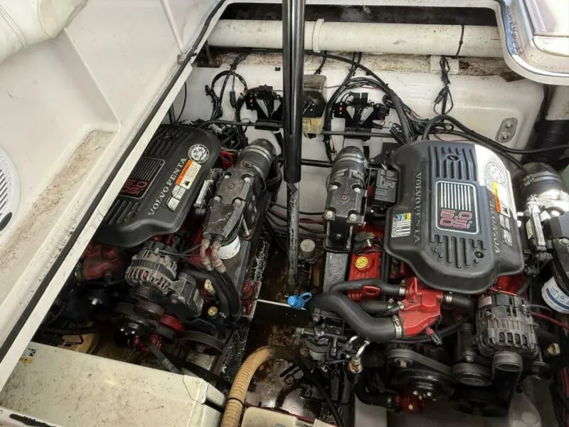 Slide: The Image of IMG_4654 - 5865176