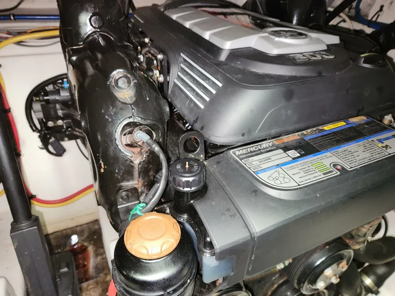 Slide: The Image of Monterey 335S 2017 - 5867493