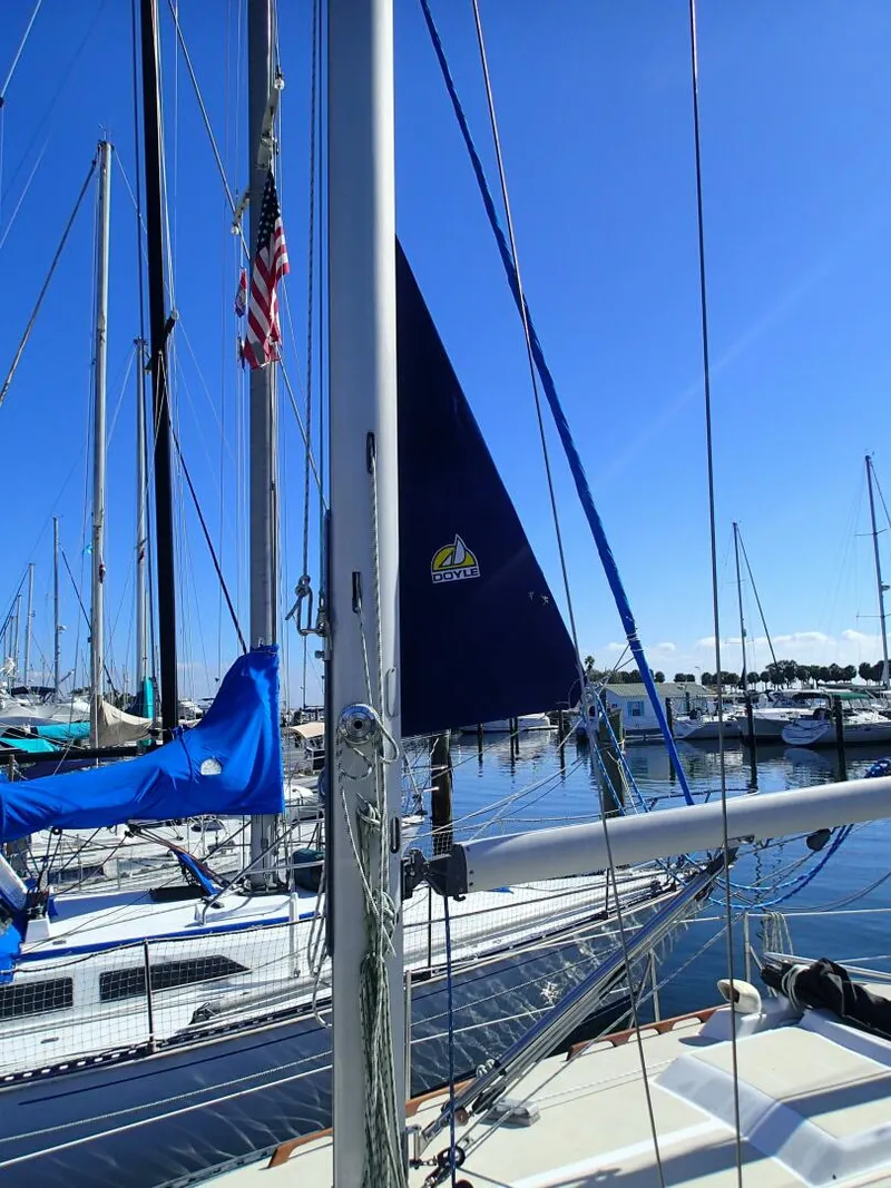 Slide: The Image of Tartan 33 1980 - 5867813