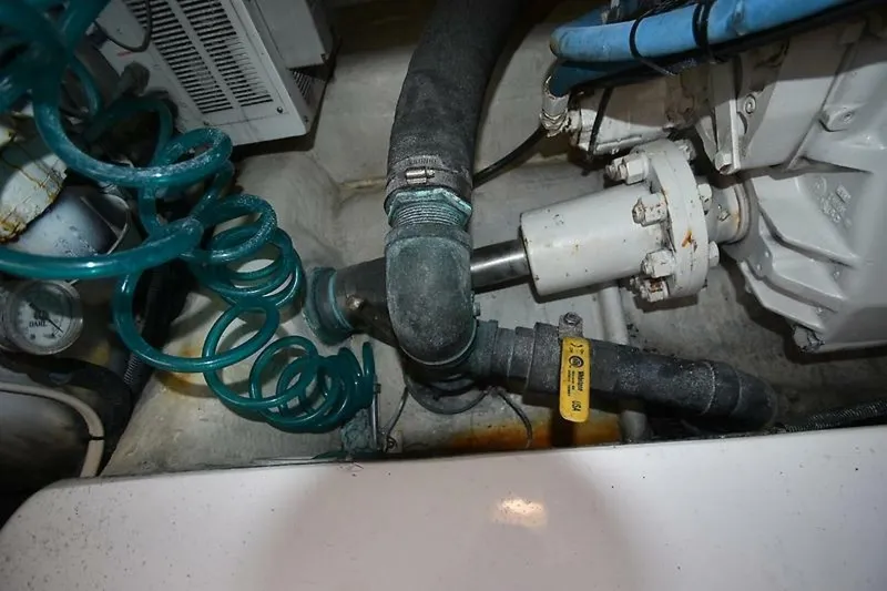 Slide: The Image of 0005503073 - 5868984