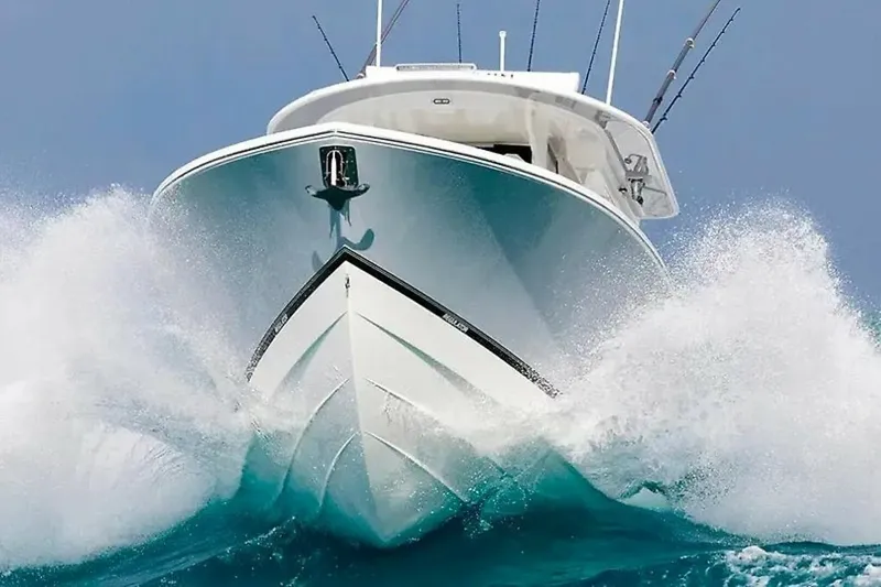 The Image of Regulator Marine 31 2026 - 5873020