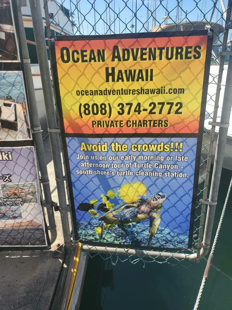 Slide: The Image of CHB SEDAN-AFT CABIN 1981 - 5879547