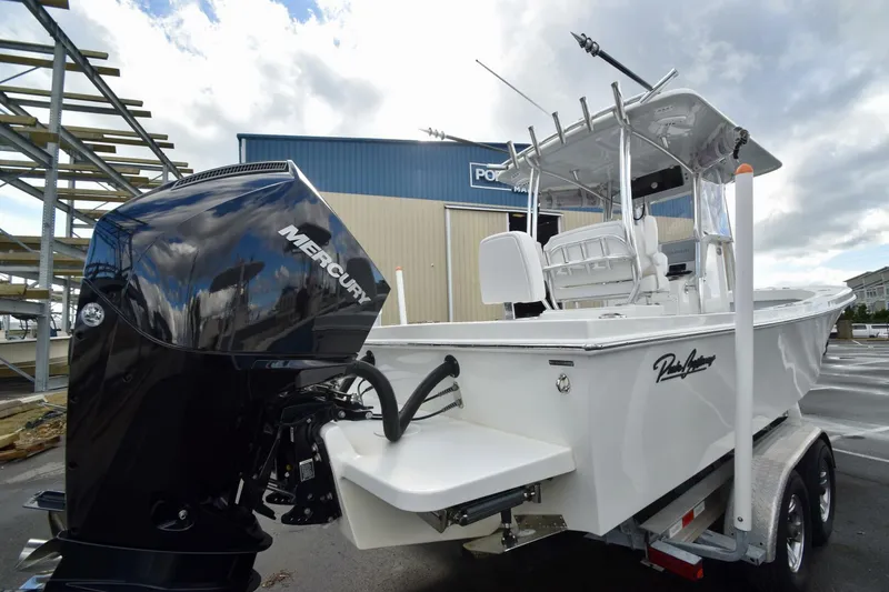 Slide: The Image of Pair Customs 24DV 2023 - 5878459