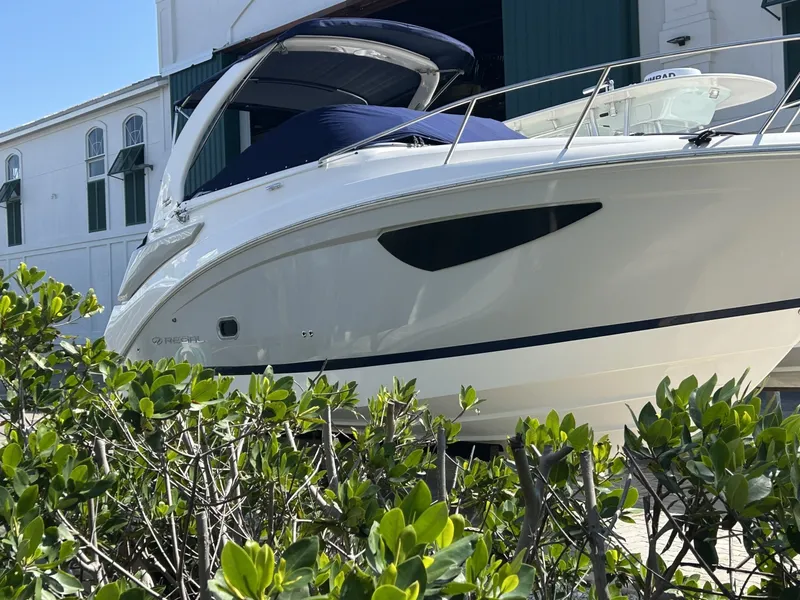 Slide: The Image of Regal 26 X0 2024 - 6014947