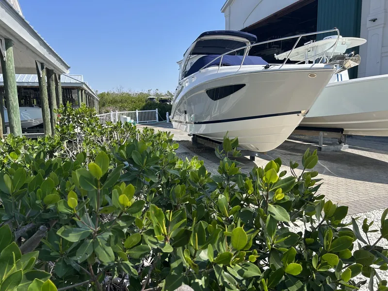 Slide: The Image of Regal 26 X0 2024 - 6014948