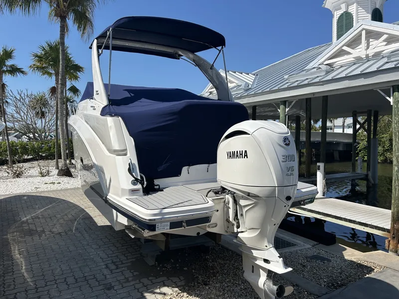 Slide: The Image of Regal 26 X0 2024 - 6014944