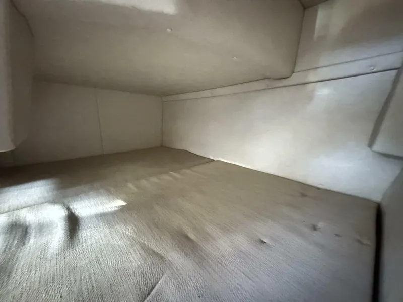 Slide: The Image of Sea Ray 240 Sundancer 2008 - 5883456