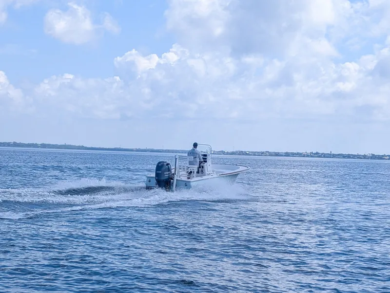 Slide: The Image of Chaos 21 Tarpon Bay 2017 - 6473460