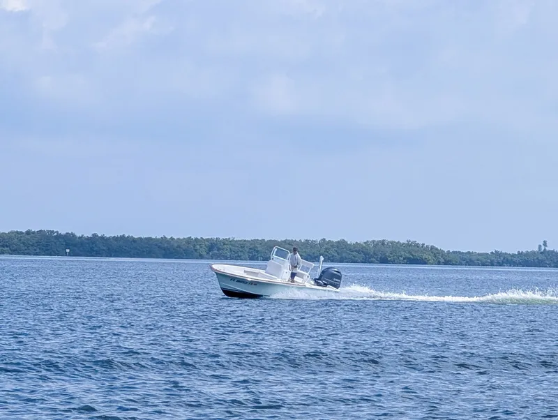 Slide: The Image of Chaos 21 Tarpon Bay 2017 - 6473449