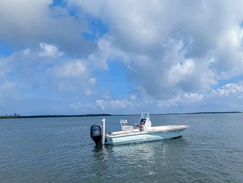 Slide: The Image of Chaos 21 Tarpon Bay 2017 - 6473446