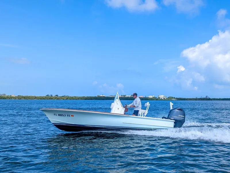 Slide: The Image of Chaos 21 Tarpon Bay 2017 - 6473456