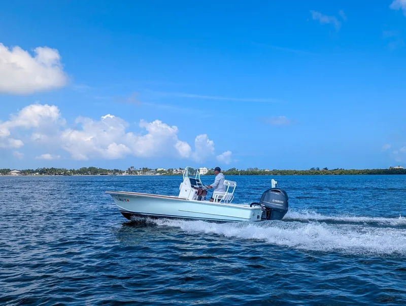 Slide: The Image of Chaos 21 Tarpon Bay 2017 - 6473457