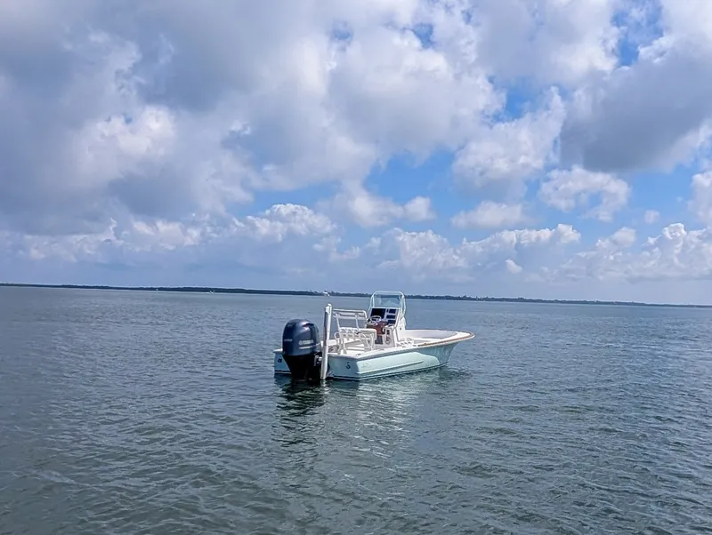 Slide: The Image of Chaos 21 Tarpon Bay 2017 - 6473447