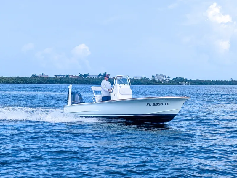 Slide: The Image of Chaos 21 Tarpon Bay 2017 - 6473458
