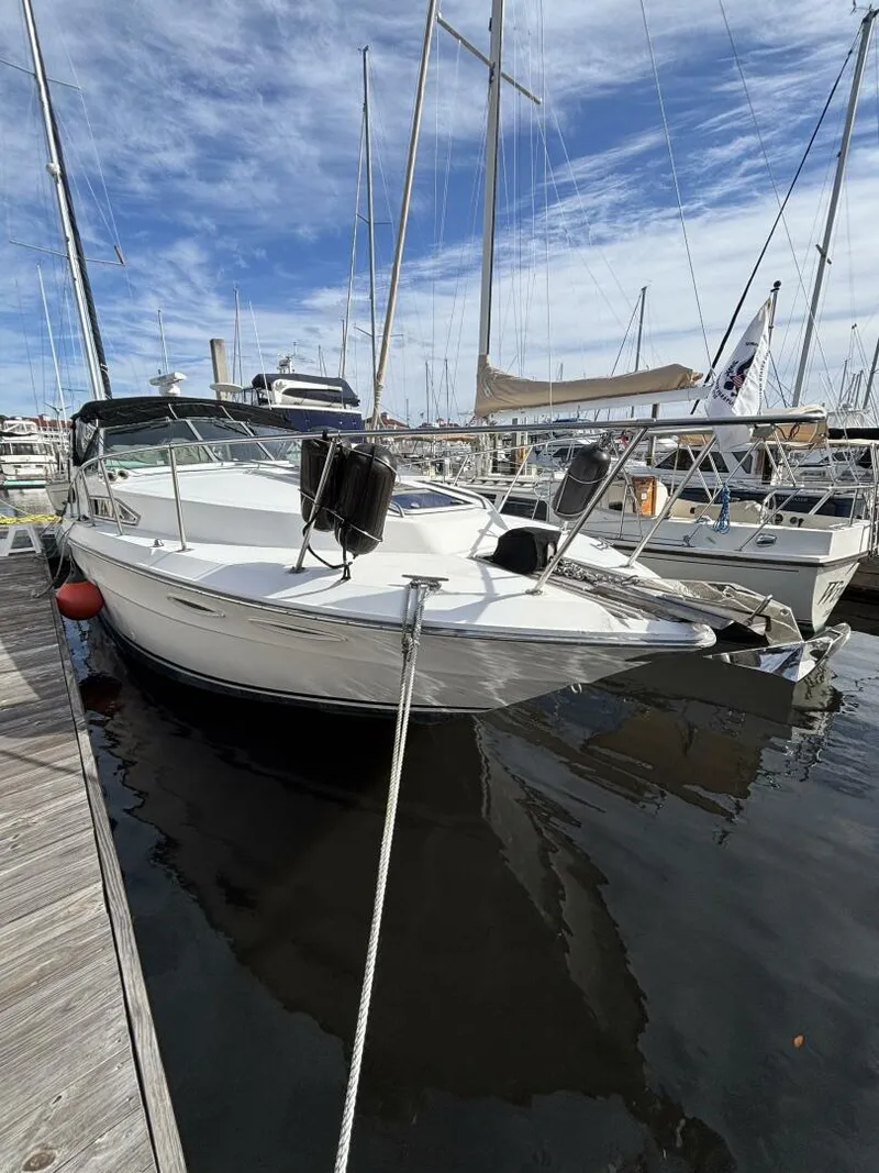 The Image of Sea Ray 340 Sundancer 1989 - 5885882