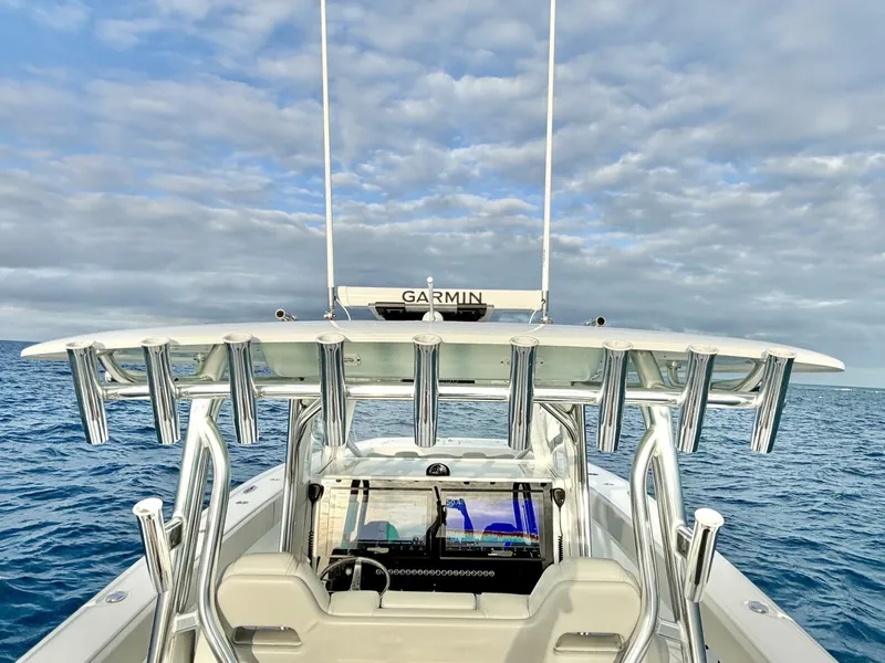 Slide: The Image of Freeman 37 2024 - 5890224