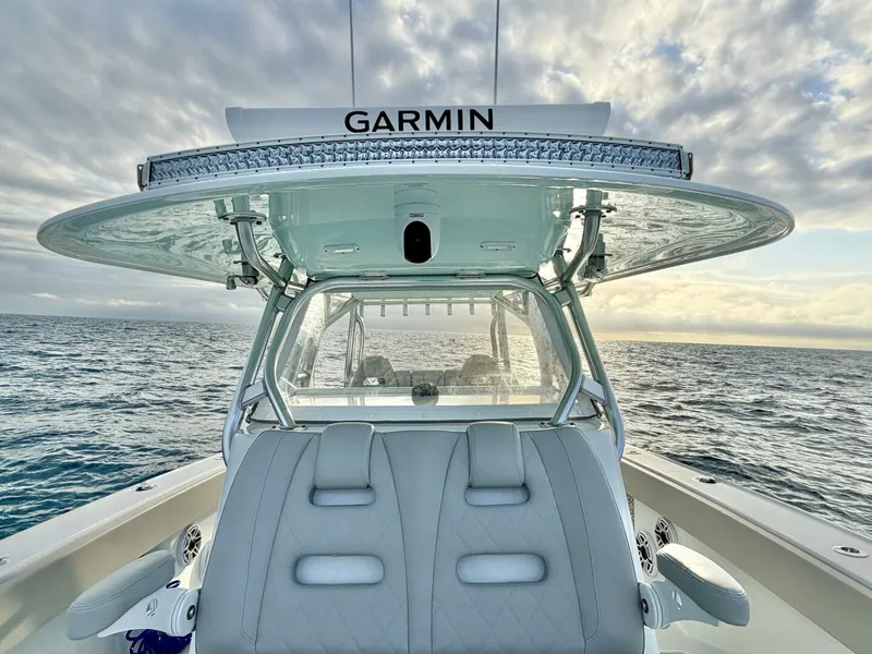 Slide: The Image of Freeman 37 2024 - 5890256