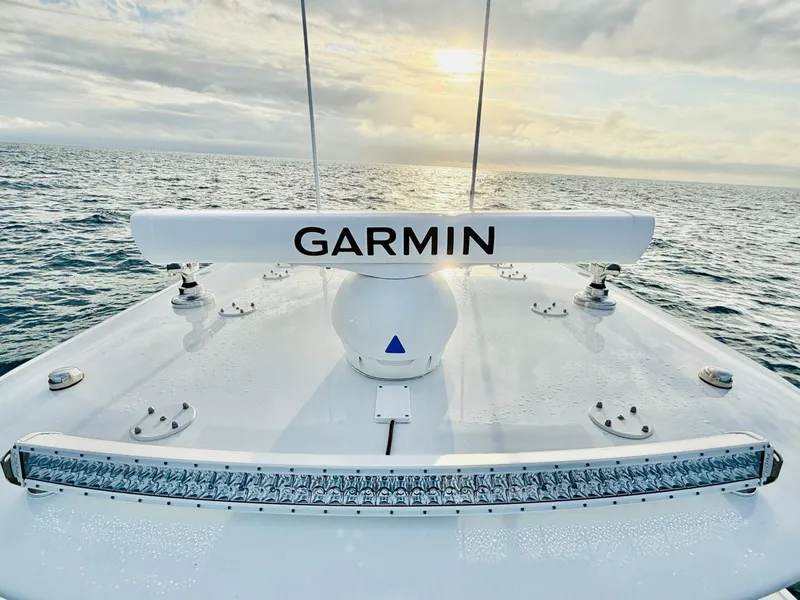 Slide: The Image of Freeman 37 2024 - 5890257