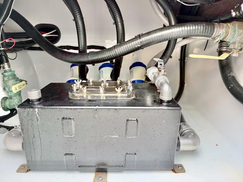 Slide: The Image of Freeman 37 2024 - 5890259