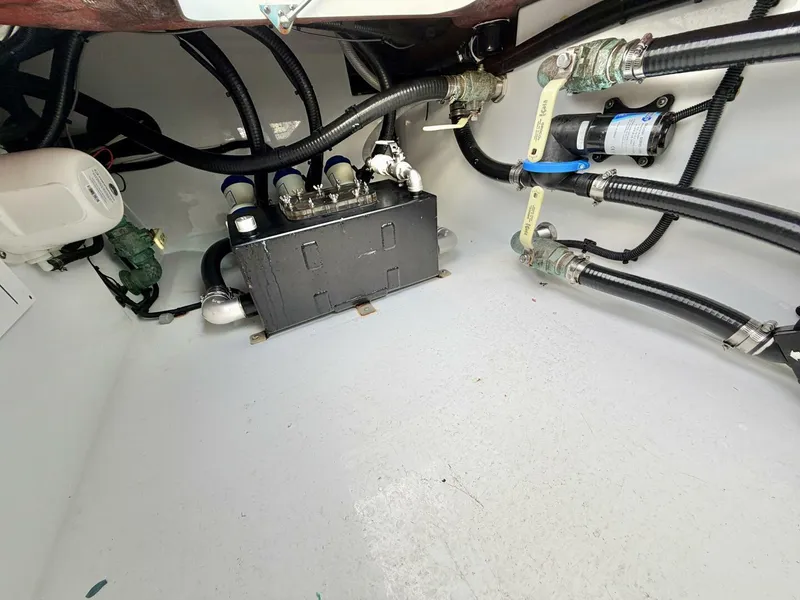 Slide: The Image of Freeman 37 2024 - 5890260