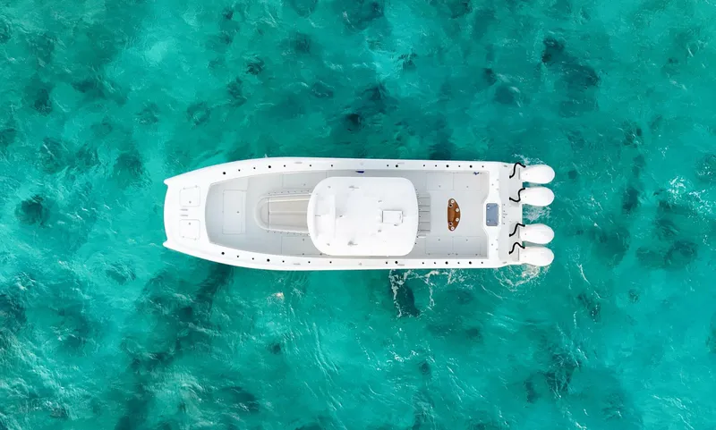 Slide: The Image of Freeman 37 2024 - 5890218