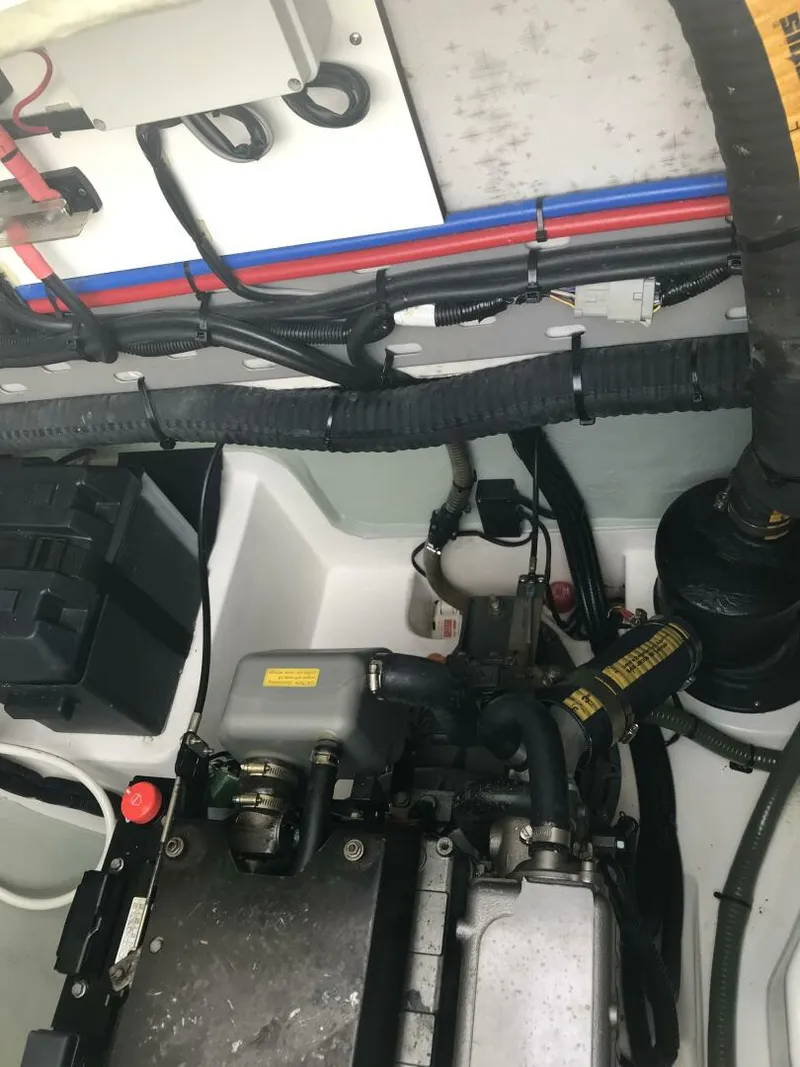 Slide: The Image of Leopard 48 2017 - 5888446