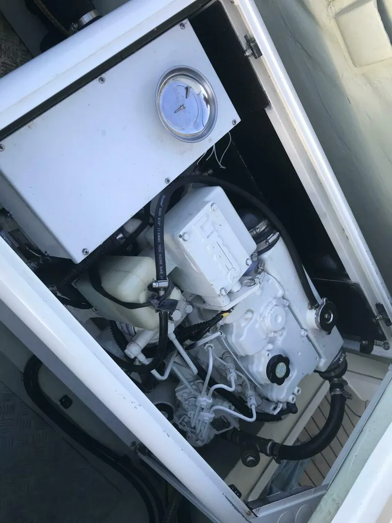 Slide: The Image of Leopard 48 2017 - 5888449