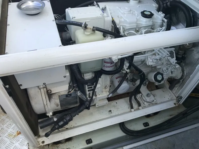 Slide: The Image of Leopard 48 2017 - 5888450