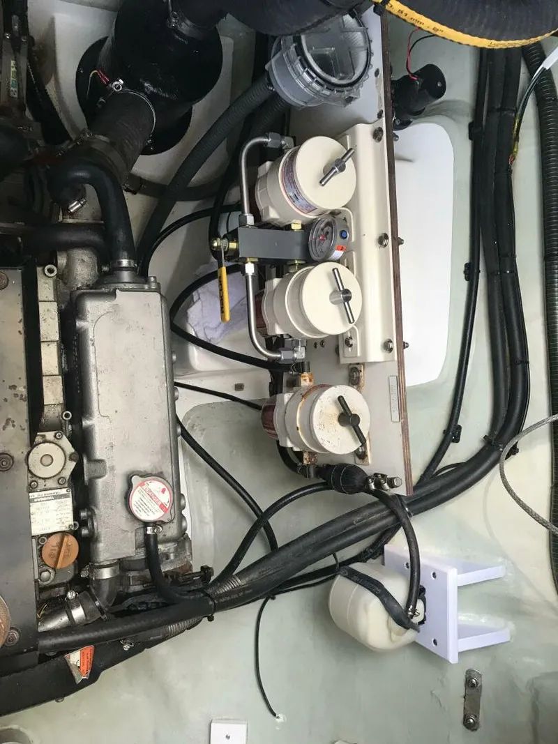 Slide: The Image of Leopard 48 2017 - 5888445