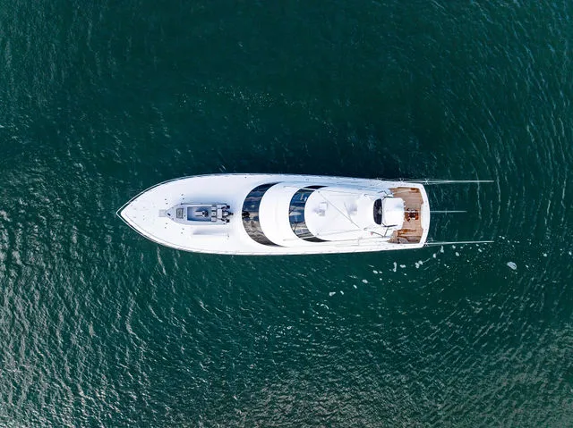 Slide: The Image of Viking 92 Enclosed Bridge 2017 - 109