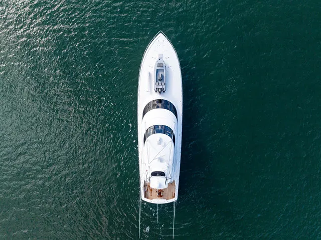 Slide: The Image of Viking 92 Enclosed Bridge 2017 - 110