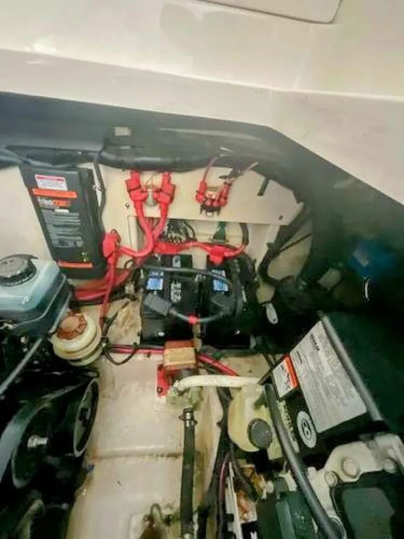 Slide: The Image of Sea Ray 310 Sundancer 2010 - 5890615