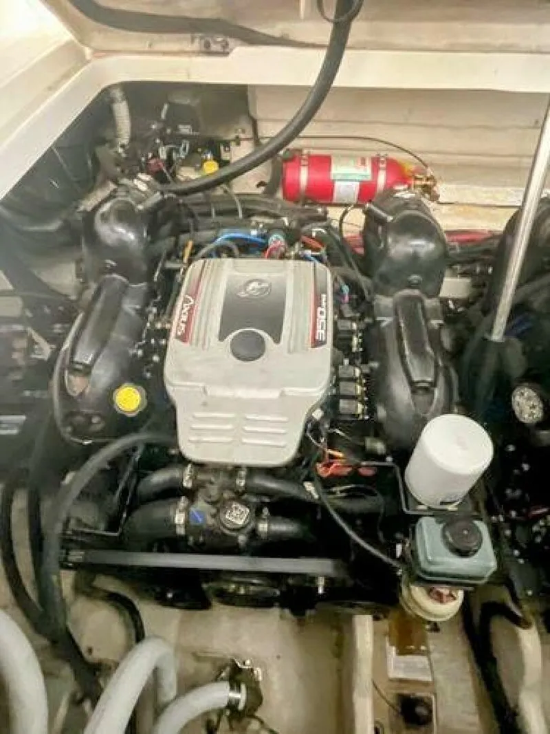 Slide: The Image of Sea Ray 310 Sundancer 2010 - 5890618