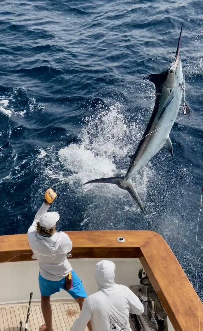 Slide: The Image of Westport Superyacht 2010 - 5970740