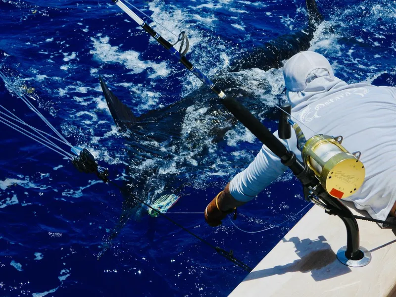 Slide: The Image of Westport Superyacht 2010 - 5970741